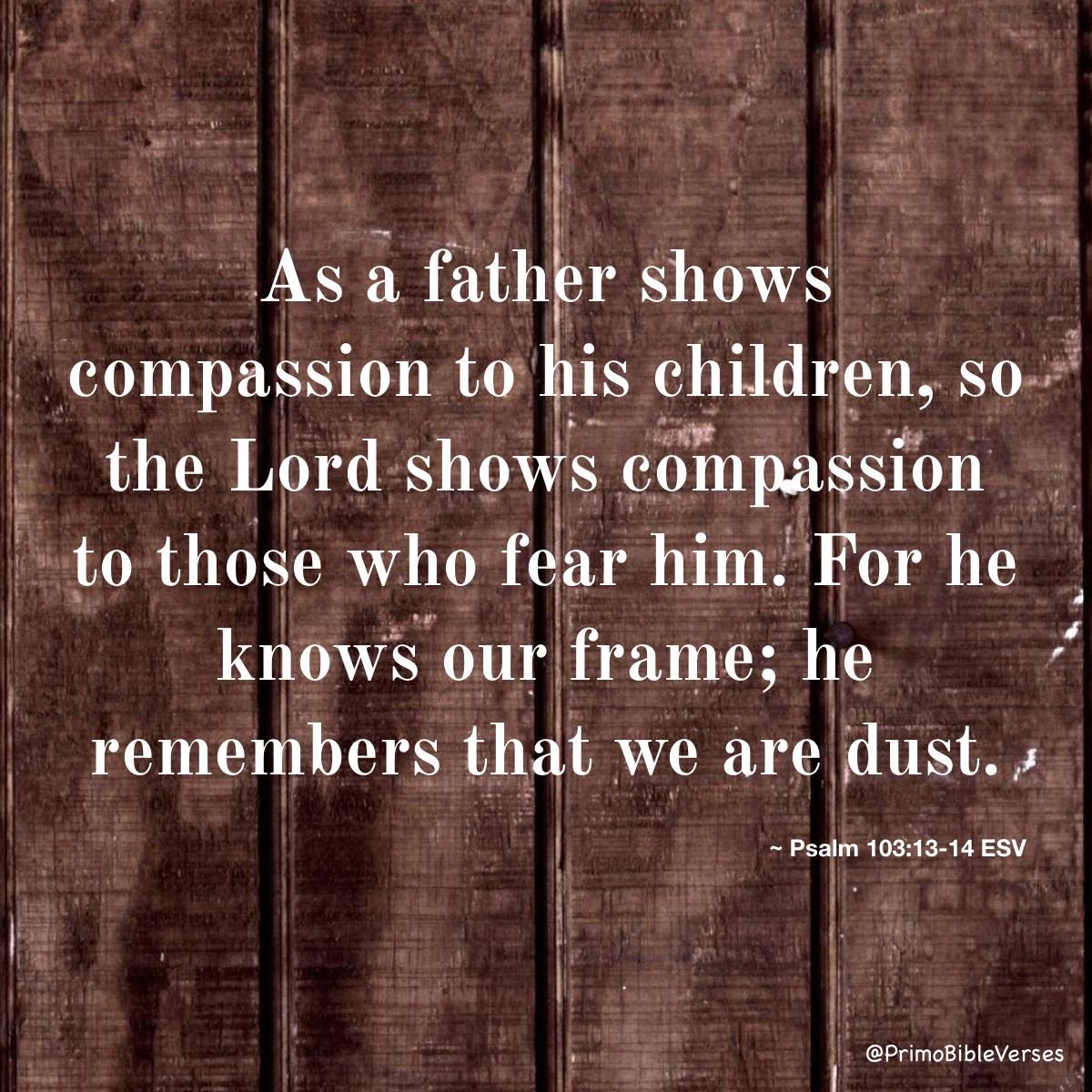 Psalms 103 13 14 NKJV As A Father Pities His Children So The Psalms 103 13 14 NKJV As A Father Pities His Children So The