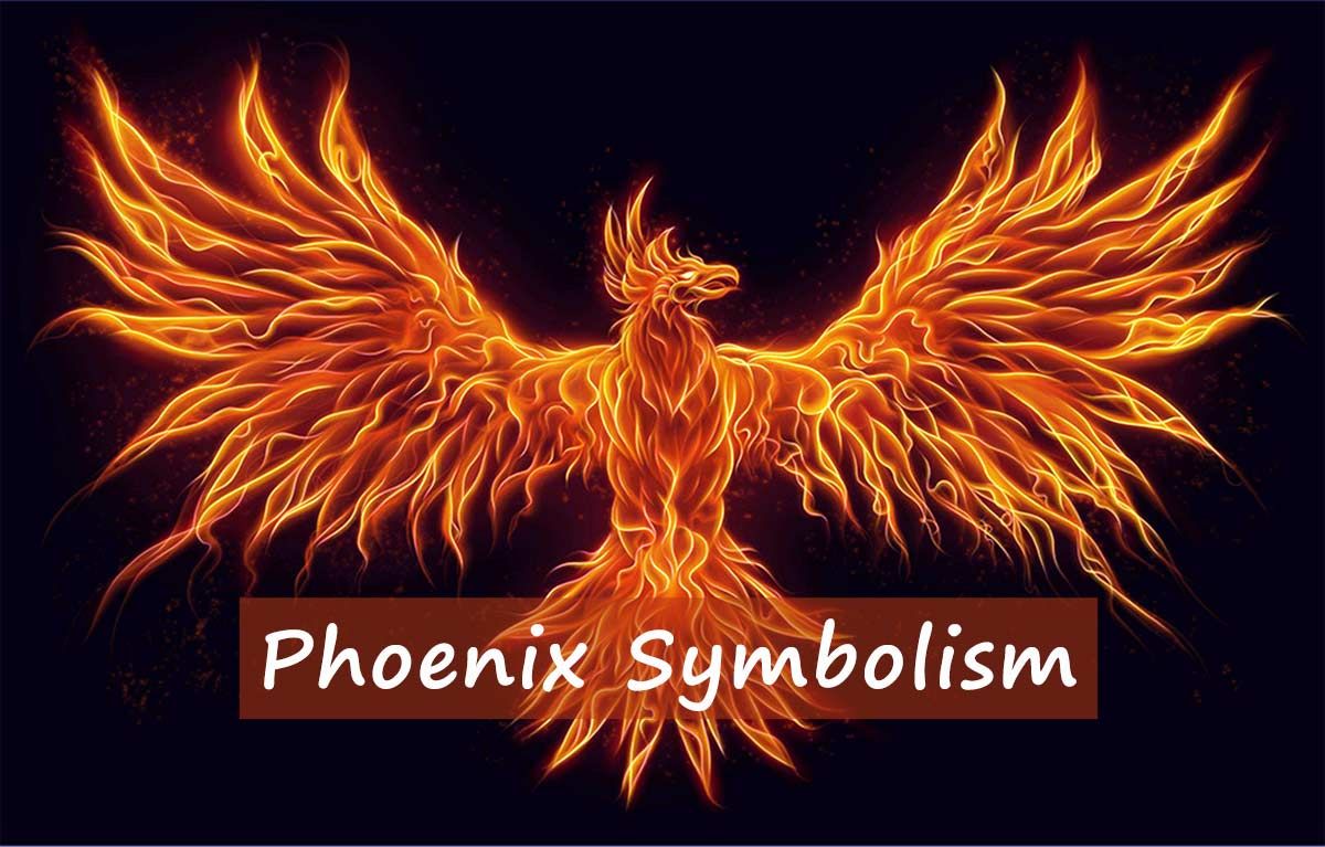 Phoenix Symbolism In 2020 Phoenix Symbolism Symbols Death Tattoo phoenix-symbolism-in-2020-phoenix-symbolism-symbols-death-tattoo