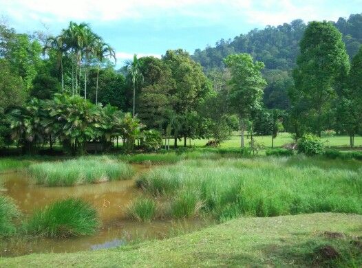 Visiting Taman Botani Perak In Taiping In 2020 Taiping National Botanical Gardens Botanical Gardens
