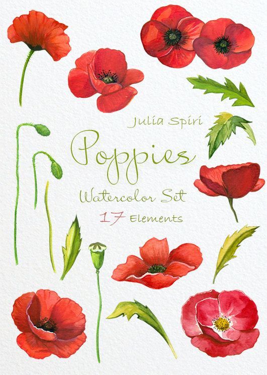 Digital Watercolor California Poppies Flowers Clipart DIY Floral Designs Invitations Boho Wedding Stationery print Scrapbook Wallpaper Logo