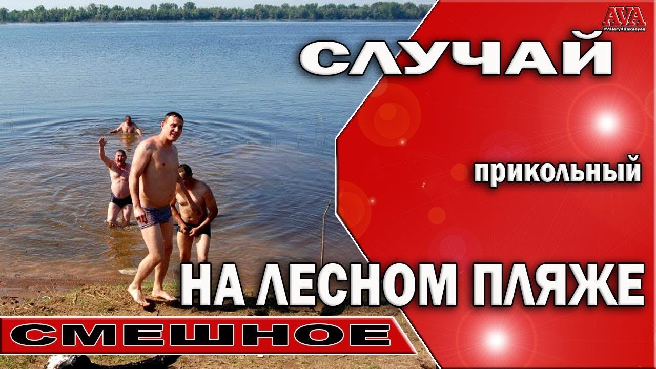 Как узнать цвет краски хонда Как узнать цвет краски хонда