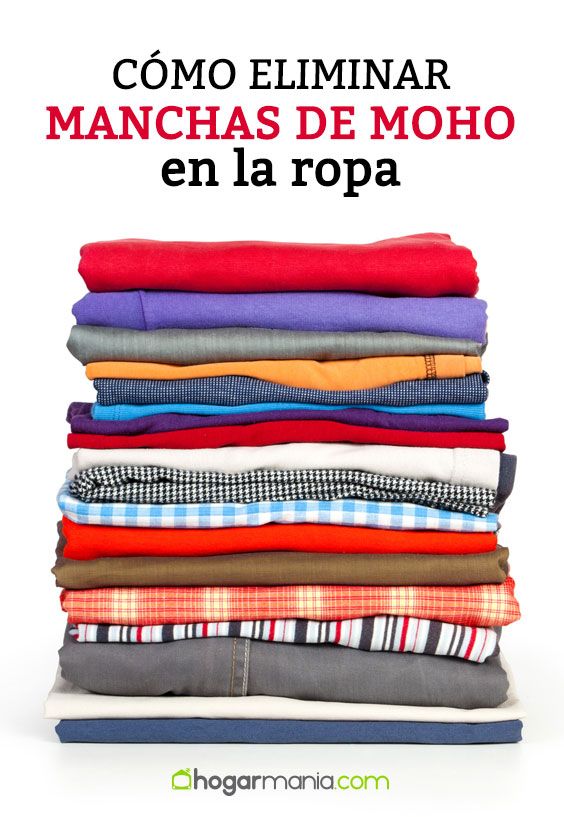 Cómo quitar las manchas de moho de la ropa (4 productos que sí funcionan) |  Eliminar manchas de moho, Moho en la ropa, Manchas de moho