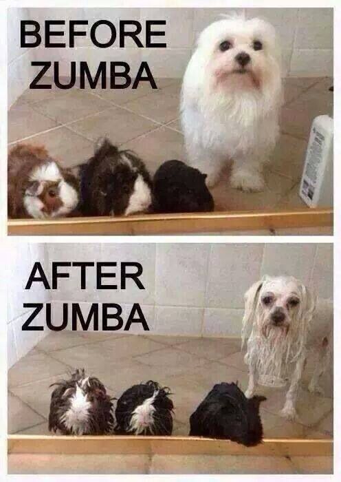 Funny Zumba Pics Funny Zumba Pics