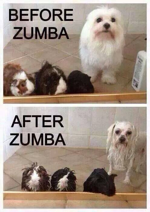 funny zumba picsimage