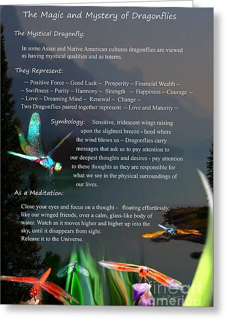 Magic And Mystery Of Dragonflies Greeting Card by Lisa Redfern Dragonfly Meaning Spiritual, Dragonfly Symbolism, Dragonfly Quotes, Dragonfly Tattoo Design, Dragonfly Dreams, Dragonfly Art, Dragonfly Images, Dragonfly Drawing, Tattoo Designs