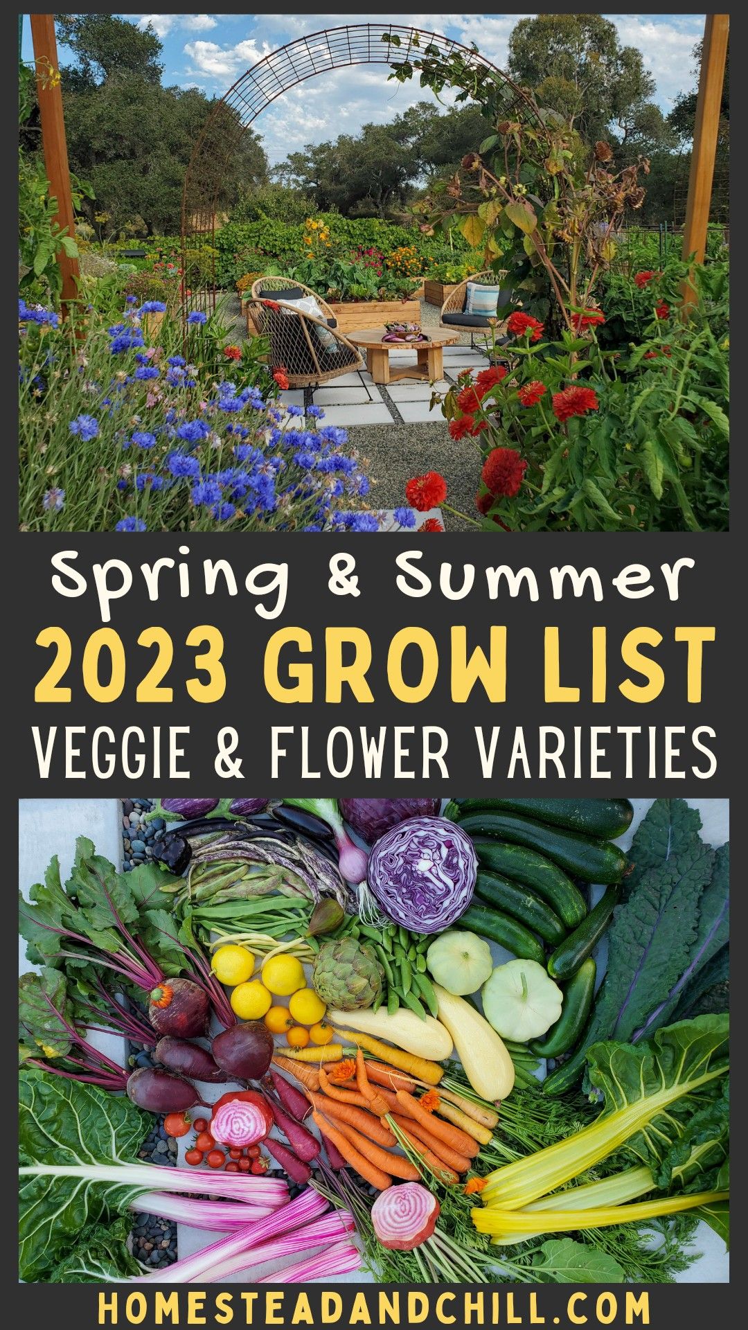 Best Summer Garden Vegetables and Flower Varieties to Grow
