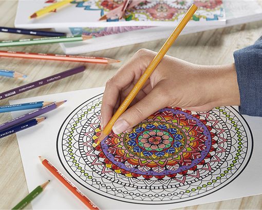 Colored Pencil Painting Bible Review Prismacolor Premier Verithin Colored Pencils Review Prismacolor Colored Pencils Color Pencil Drawing