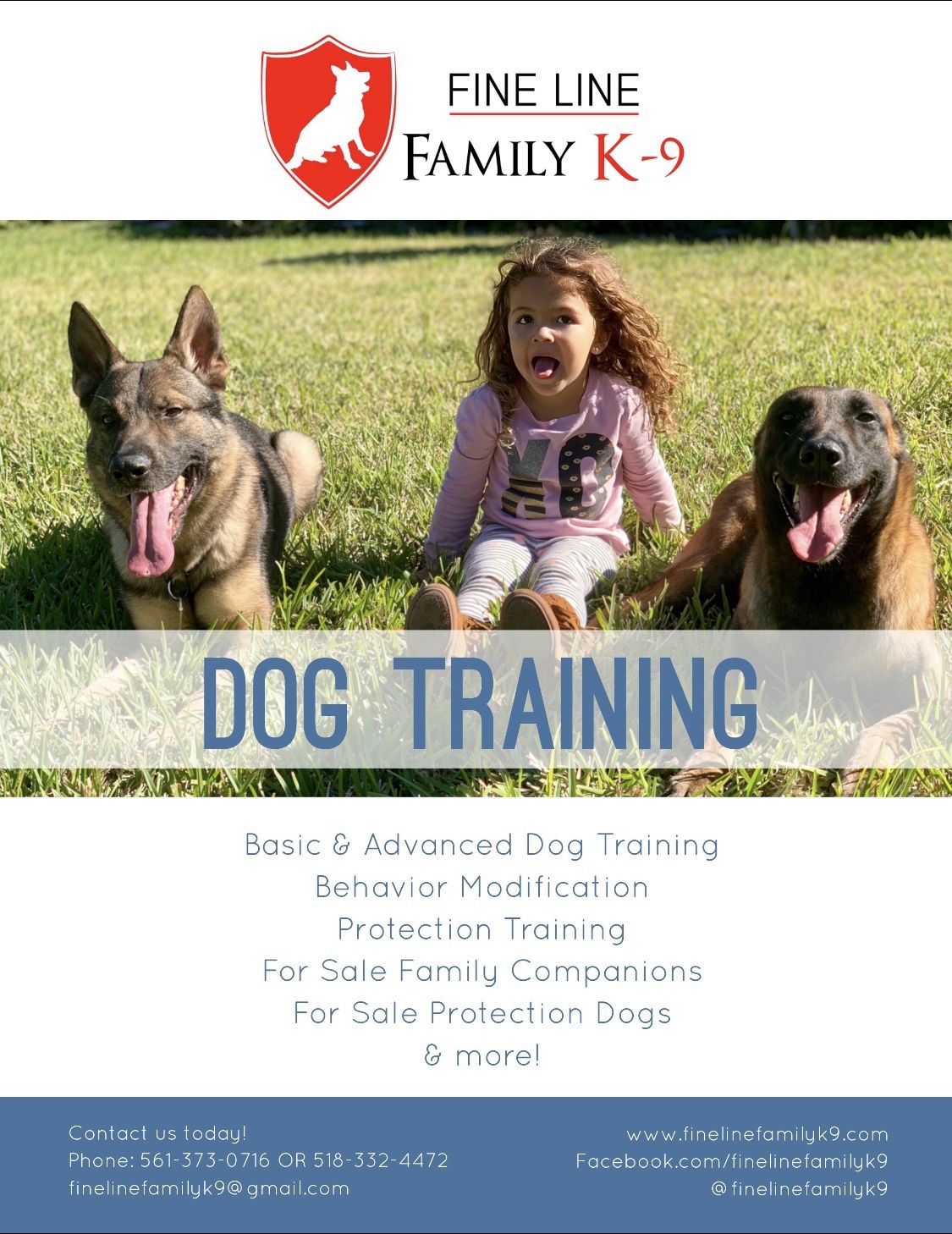 Dog With Behavioral Issues Let Us Help You Board And Train
