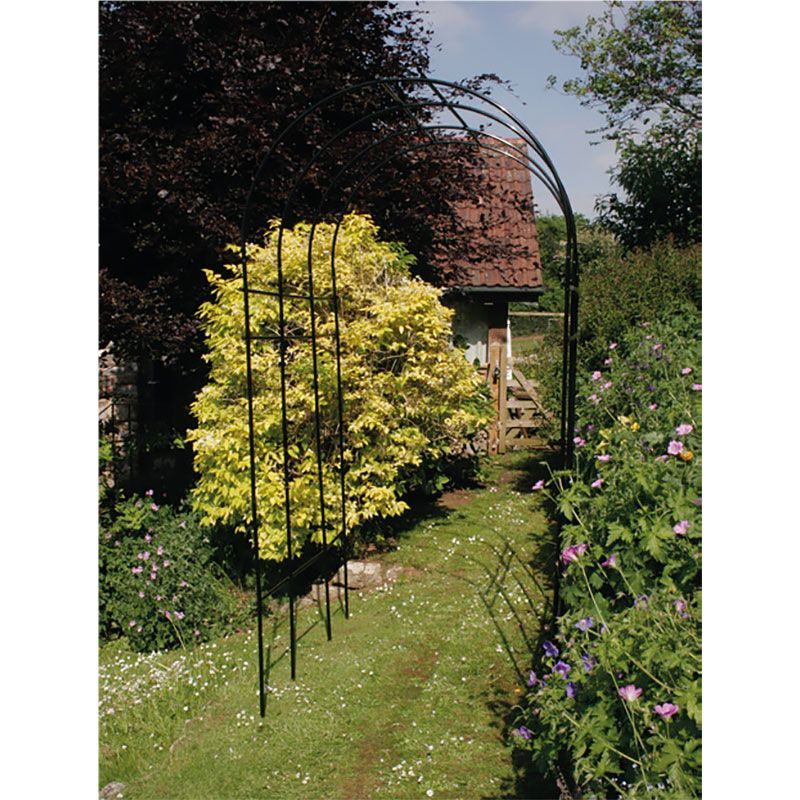 Single pergola arch