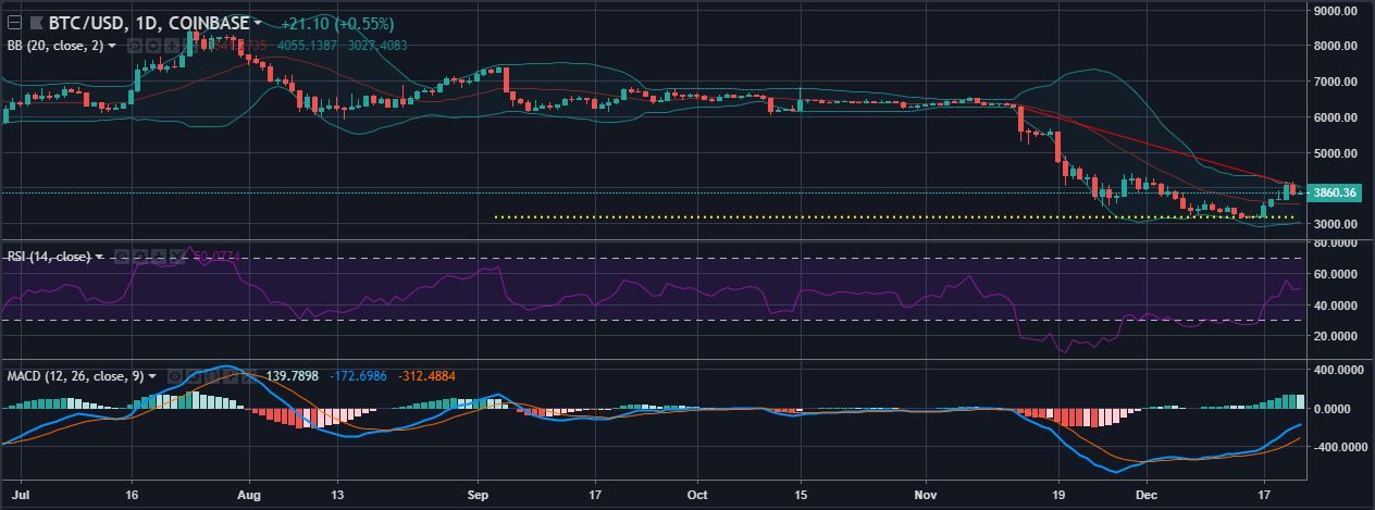 Bitcoin [BTC/USD] Technical Analysis Bull to succeed over