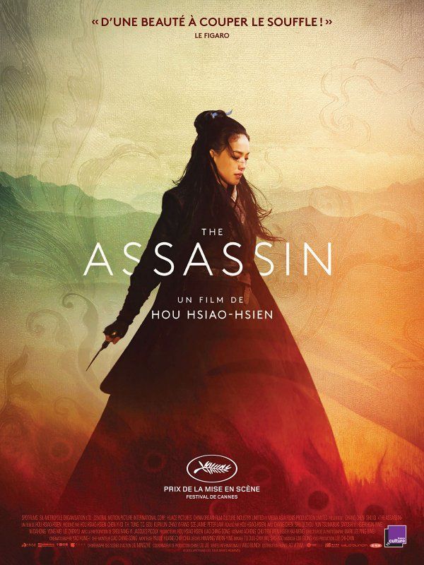 The Assassin La Critique Du Film The Assassin Film Bon Film