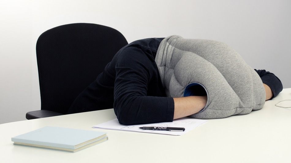 Desktop Nap Pillow Is Perfect for Design Power Nap Pillow