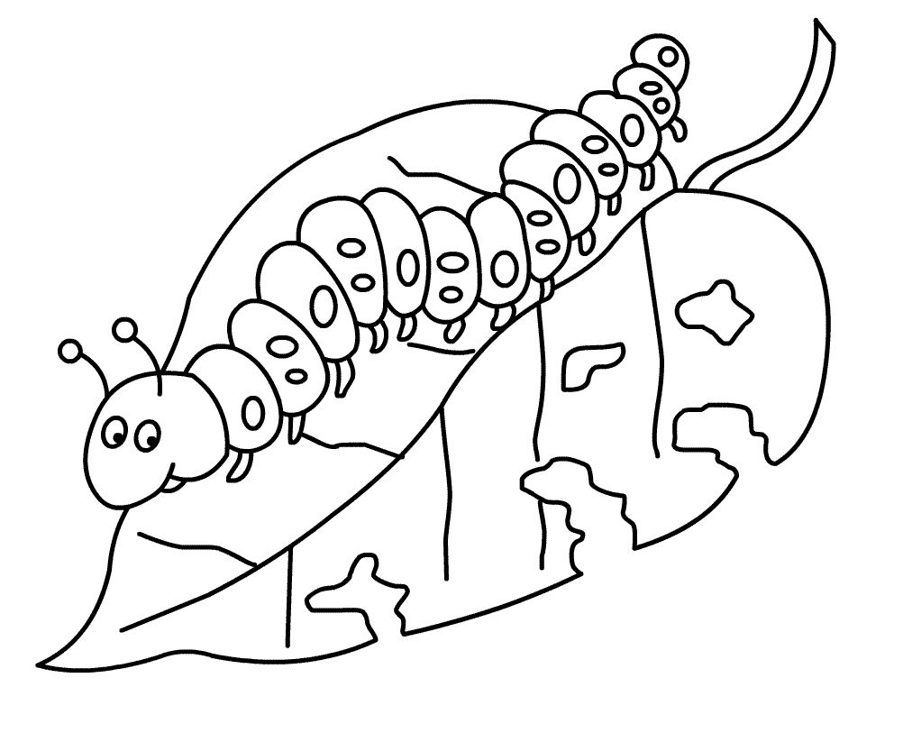 very hungry caterpillar coloring page Printables httpwww