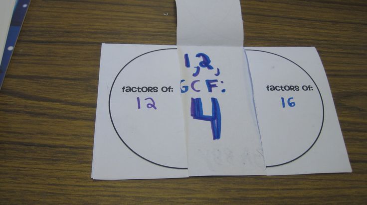 Venn Diagram GCF Foldable | Math interactive notebook, Teaching math