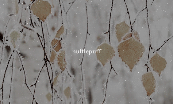 https://i.pinimg.com/originals/29/e4/4e/29e44e801f010e1b529e03e092126a65.gif