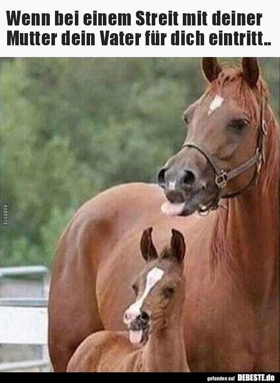 Wenn bei einem Streit mit deiner Mutter dein Vater für..