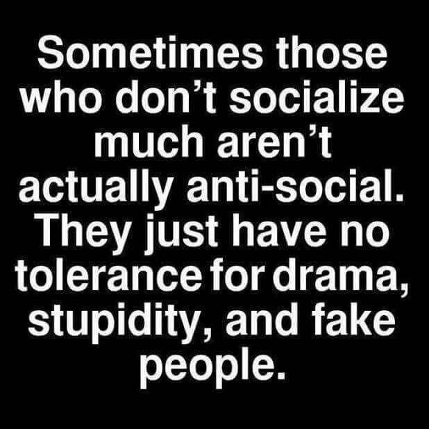 A Quote That Says Sometimes Those Who Don t Socialize Much Aren t A Quote That Says Sometimes Those Who Don t Socialize Much Aren t