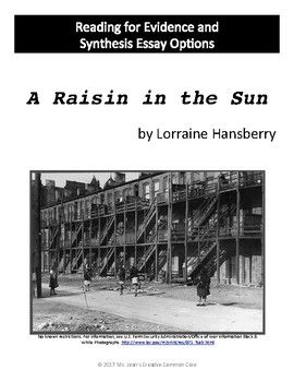 Raisin in the sun essay
