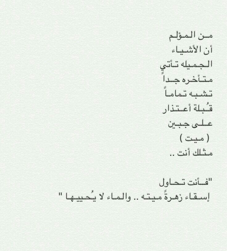 ك قبله اعتزار علي جبين ميت