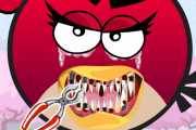 Angry Birds Discide Oyunu Oyna Angry Birds Oyun