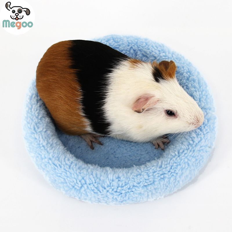 Pin On Home Garden - Fleece Bedding For Guinea Pigs Pets At Home Pin On Home Garden - Fleece Bedding For Guinea Pigs Pets At Home