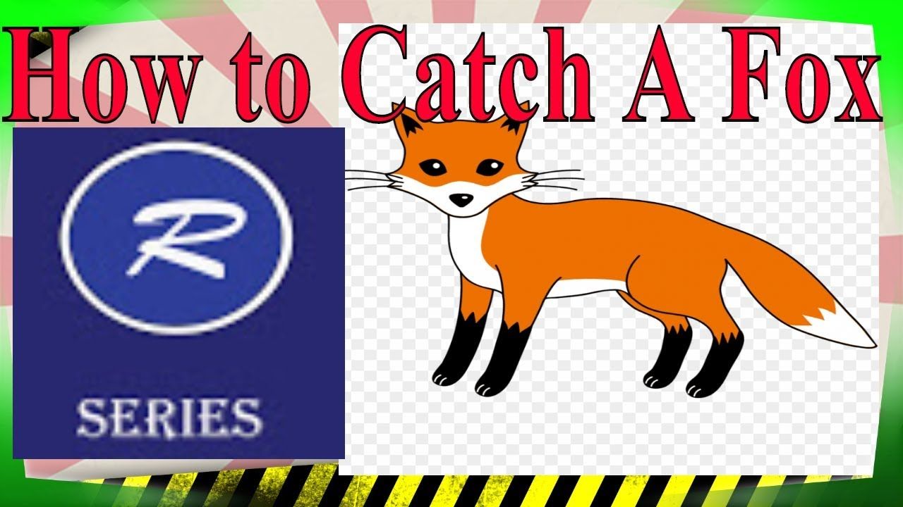 How to Catch A Fox Best Fox Trap Fox Trapping (With images