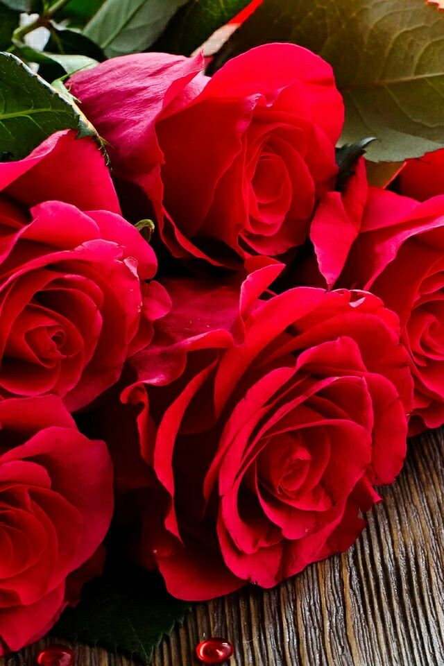 Layfor Seven Love おしゃれまとめの人気アイデア Pinterest Angy 赤いバラ 美しい花 季節の生花種類 Layfor Seven Love おしゃれまとめの人気アイデア Pinterest Angy 赤いバラ 美しい花 季節の生花種類