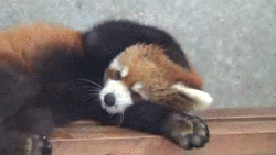 Laissez-moi dormir ... Laissez-moi dormir ...