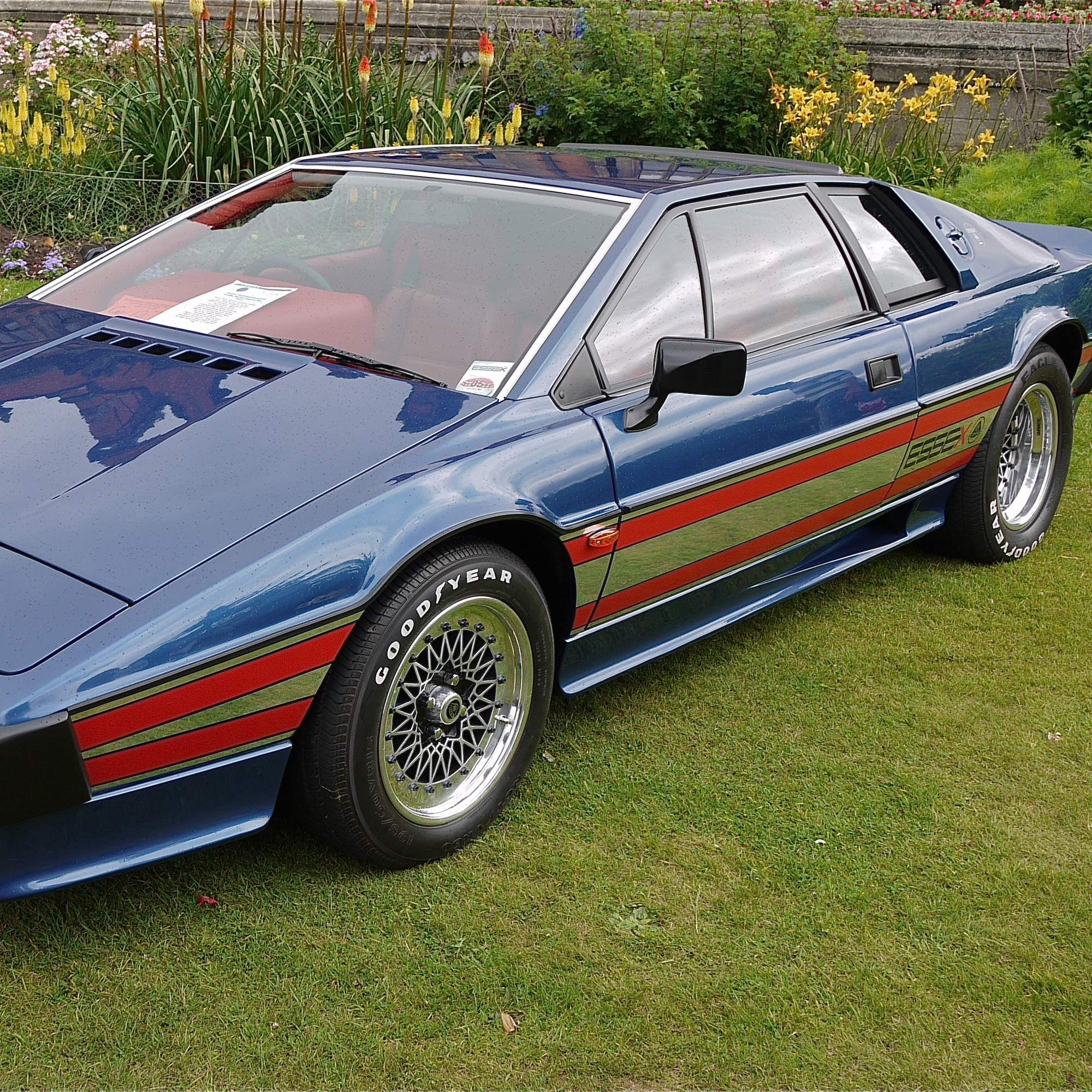 Fastest Cars Under 50K 2022 / Five Fastest Cars Under 50K Today, we