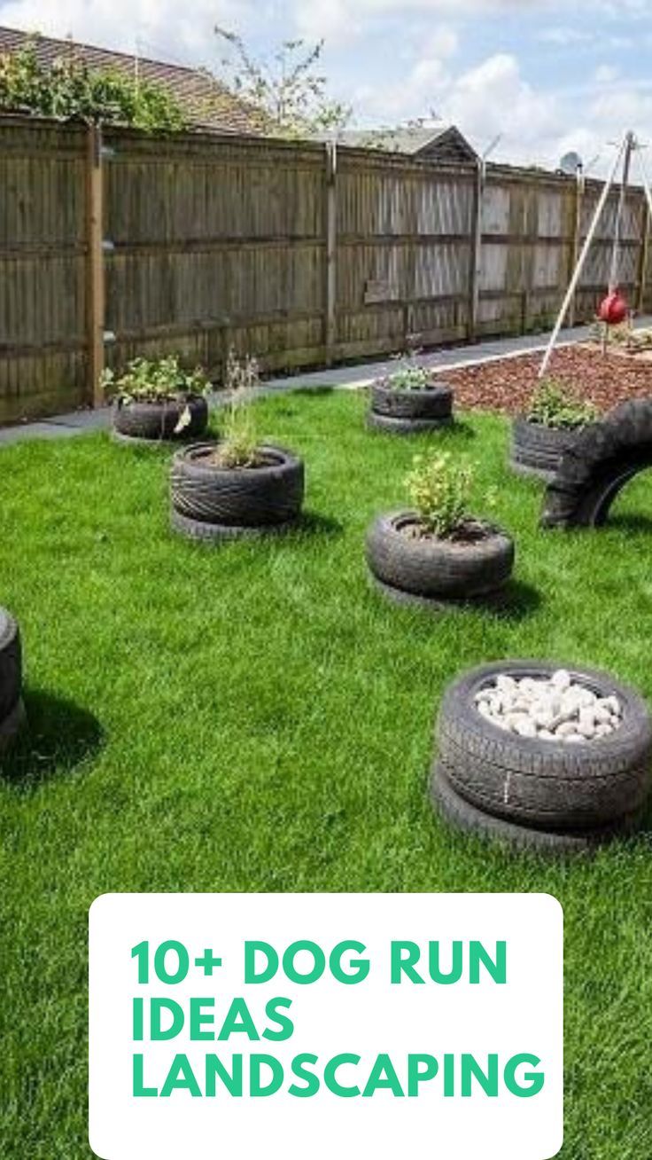 10 Dog Run Ideas Landscaping Dog Runs Landscape Planting Succulents 10-dog-run-ideas-landscaping-dog-runs-landscape-planting-succulents
