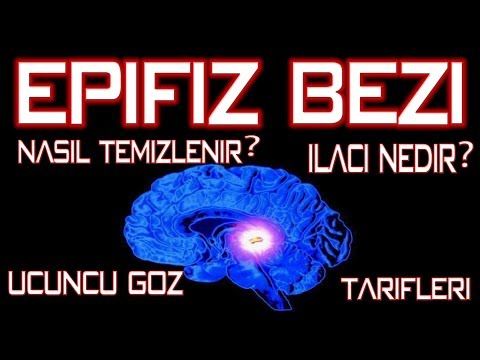 Epifiz Panosundaki Pin Epifiz Panosundaki Pin