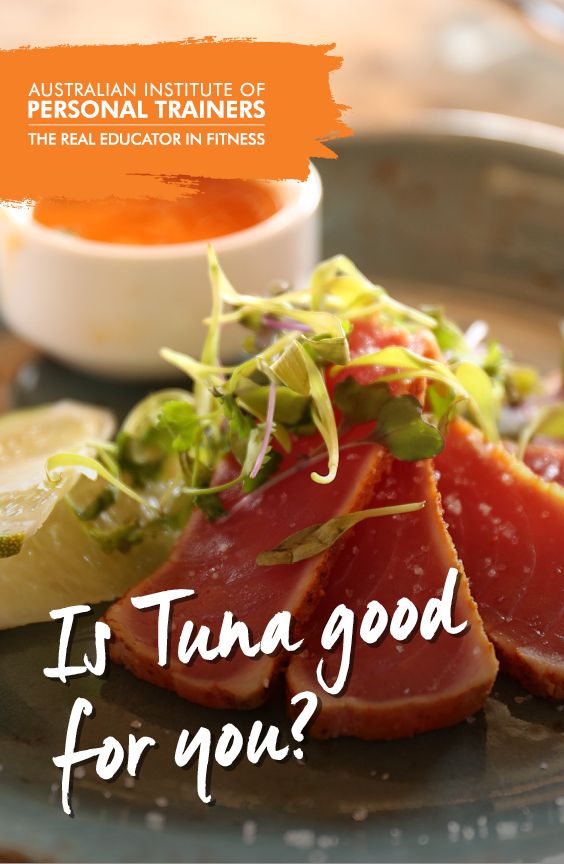 Is Tuna Good For Your Diet Is Canned Tuna Good For You What Is Tuna Is Tuna Good For Your Diet Is Canned Tuna Good For You What Is Tuna