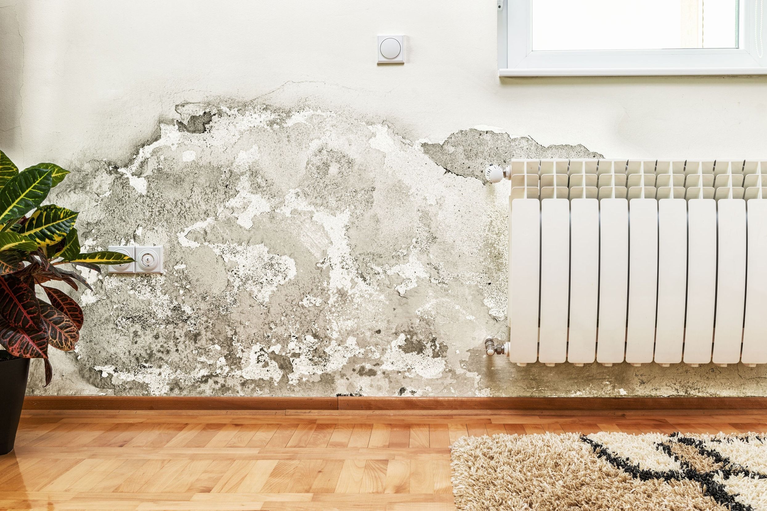 Traiter les problèmes d\'humidité dans la maison | Problème, Journal ... Traiter les problèmes d\'humidité dans la maison | Problème, Journal ...