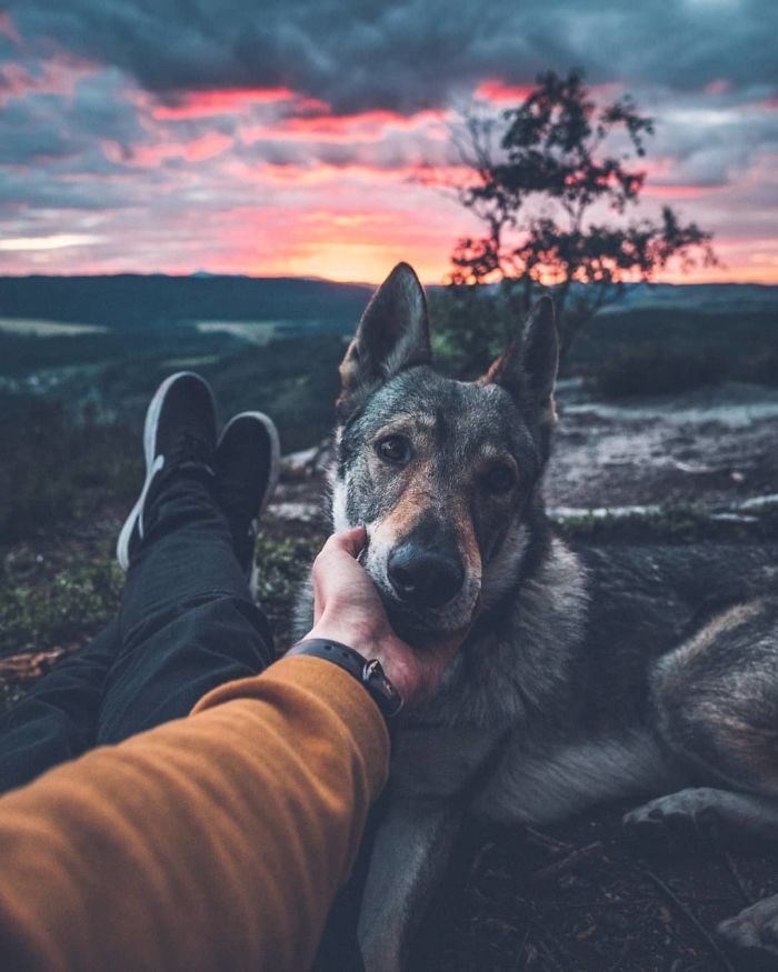 Tired Of #FollowMeTo Instagram Pics? This Guy Pets His Dog Everywhere He Goes, And It’s 36 Times Better