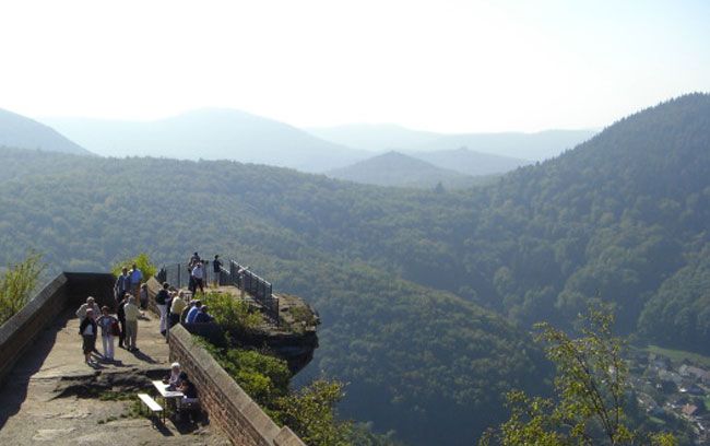 Single wanderungen pfalz