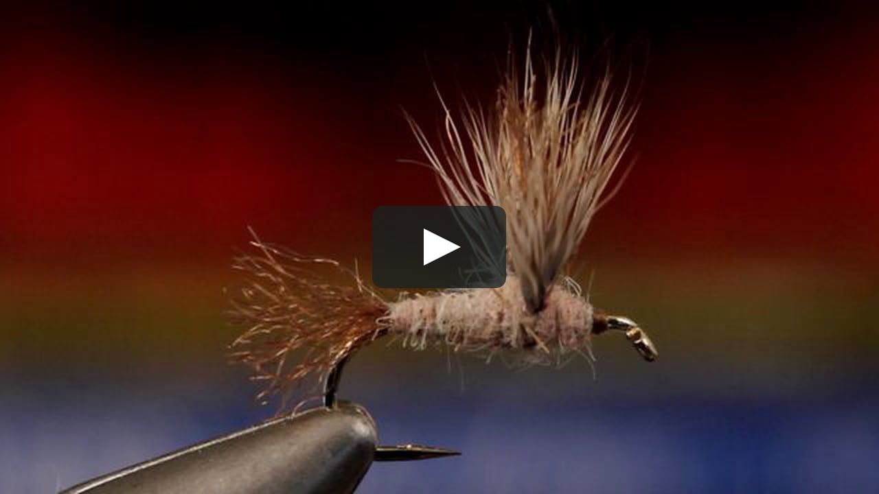 Hendrickson Fly Pattern Best Decoration Hendrickson Fly Pattern Best Decoration