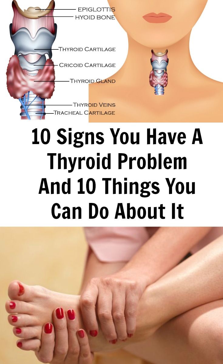 What is the thyroid responsible for What is the thyroid responsible for