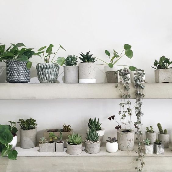 plant groen wit industrieel interieur botanisch - green white ... plant groen wit industrieel interieur botanisch - green white ...