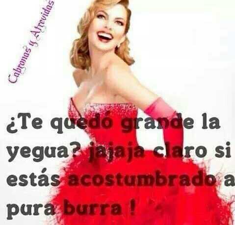 cabronas y atrevidas a chingar tu madre frases sarcasmo frases hermosa frases cabronas y atrevidas a chingar tu madre frases sarcasmo frases hermosa frases