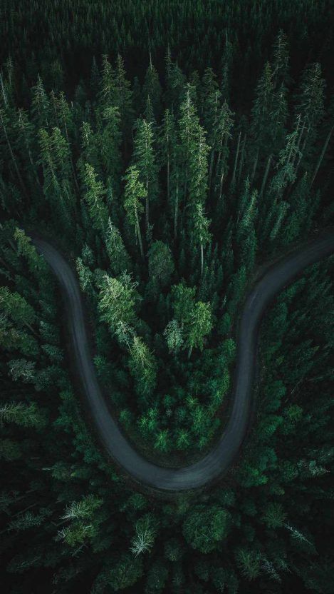 Download Great Wallpaper for iPhone 6 / 6 Plus This Month