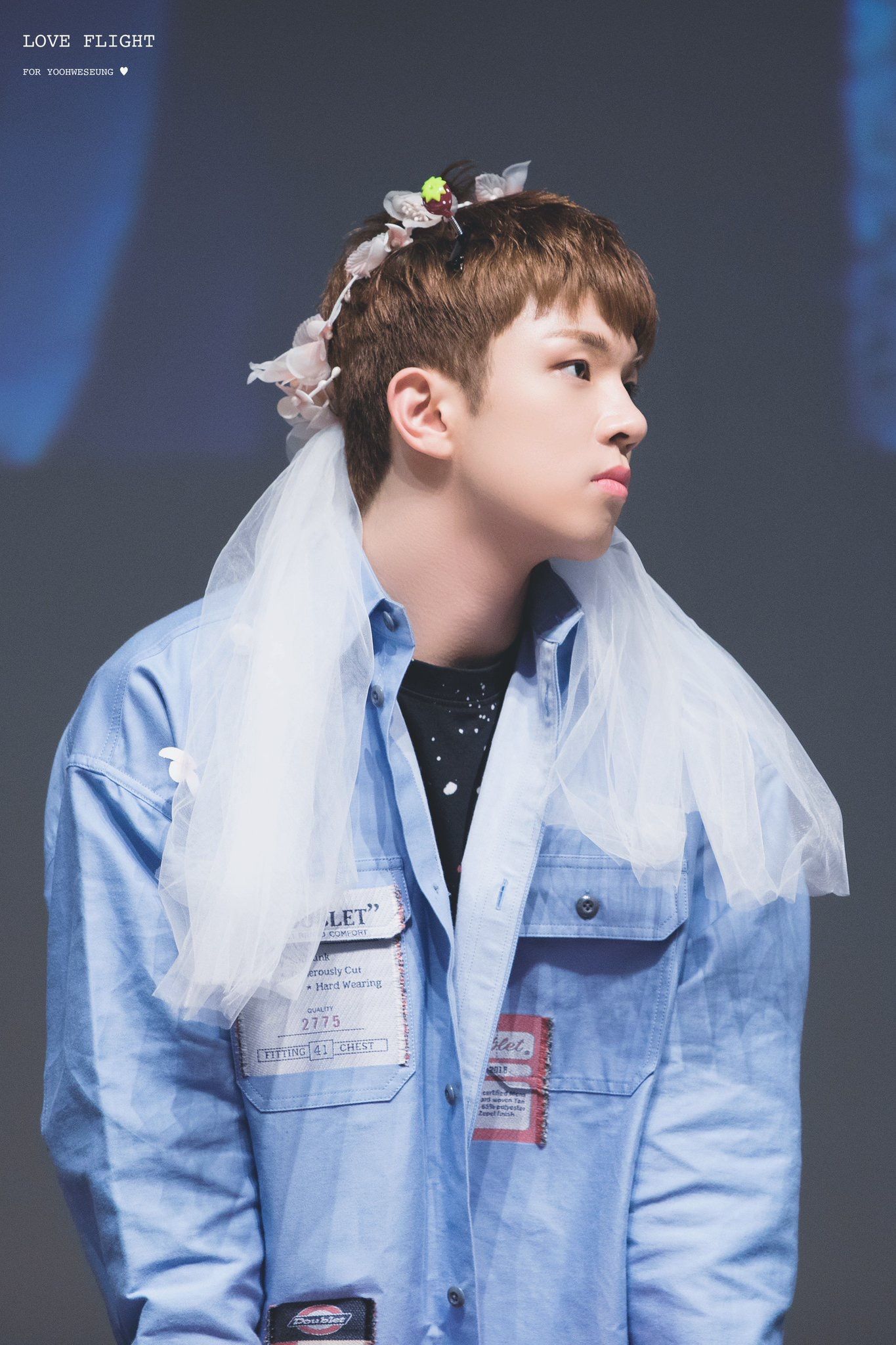 hoeseung yoo hweseung nflying hweseung n flying hoeseung yoo hweseung nflying hweseung n flying