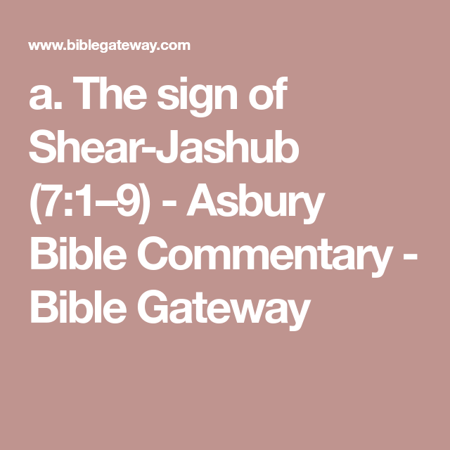 How to setup ps4 to computer monitor Bible gateway commentary