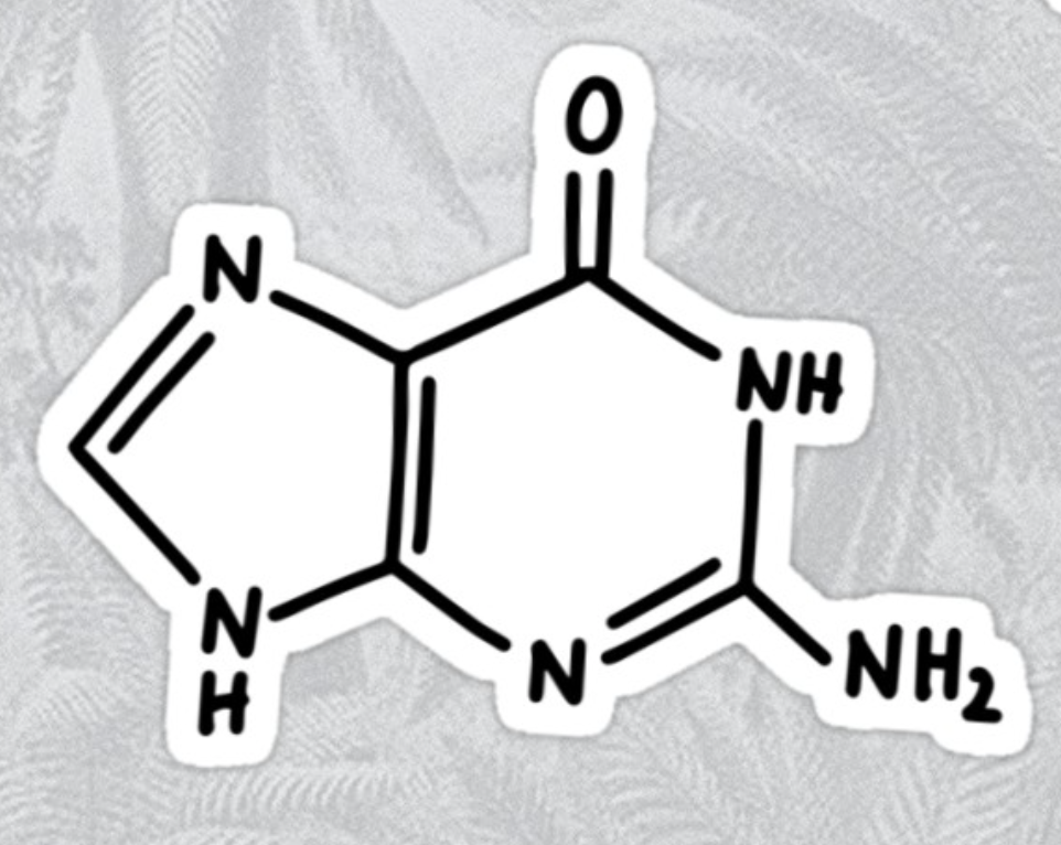 SEROTONIN molecule CHEMISTRY decal vinyl car sticker WHITE NiCE!!