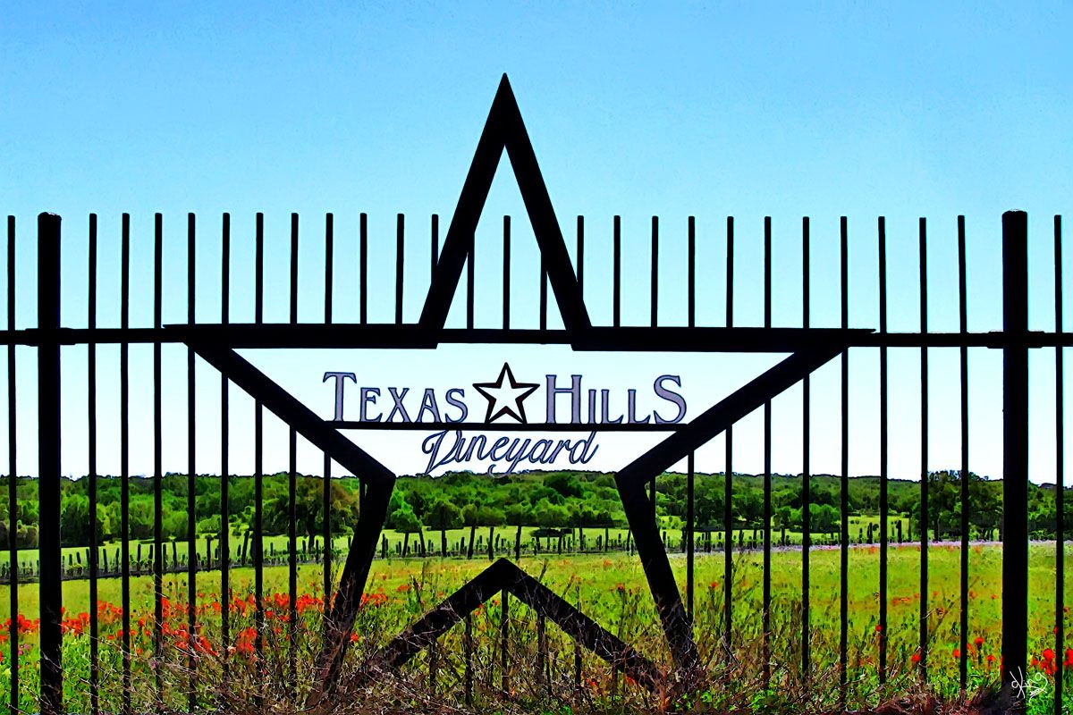 texas hills vineyard enjoy the kick butt cab texas pinterest