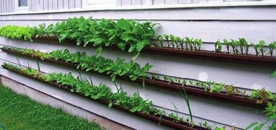 10 Different and Great Garden project Anyone Can Make 10 10 Different and Great Garden project Anyone Can Make diygarden gardenideas DIY