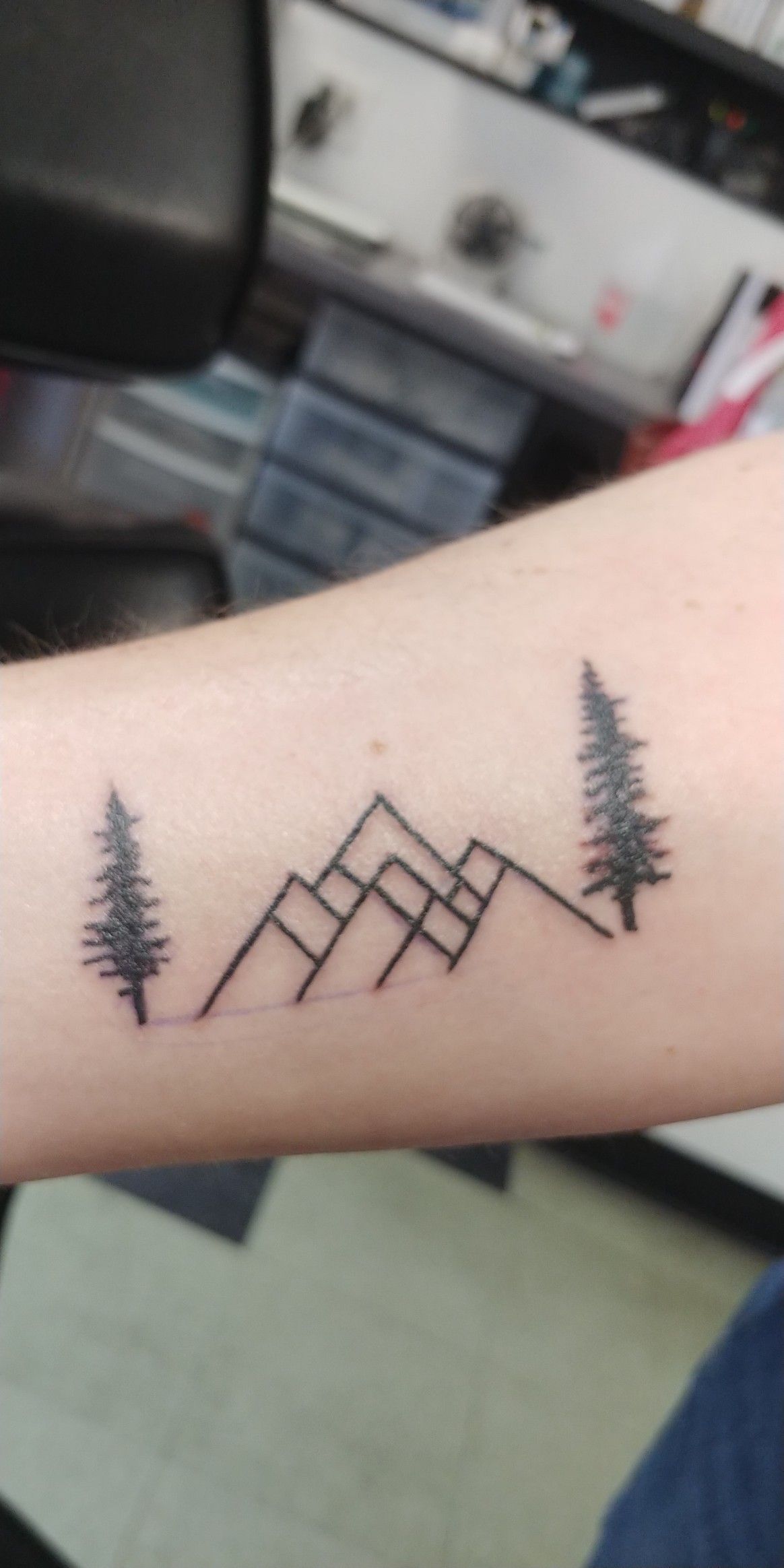 Colorado + Oregon minimalist simple tree mountains geometric 