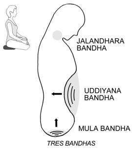 Iyengar Yoga, Ashtanga Yoga, Hatha, Yoga Postures, Vinyasa Yoga, Yoga Sequences, Bikram Yoga, Pilates Yoga, Pilates Reformer
