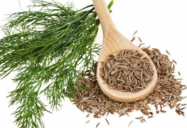 Comino, Cuminum cyminum Cure For Sunburn, Essential Oil Menstrual Cramps, Healthy Herbs, Herbs & Spices, Salad Servers, Peppercorn, The Cure, Essential Oils, Herbs