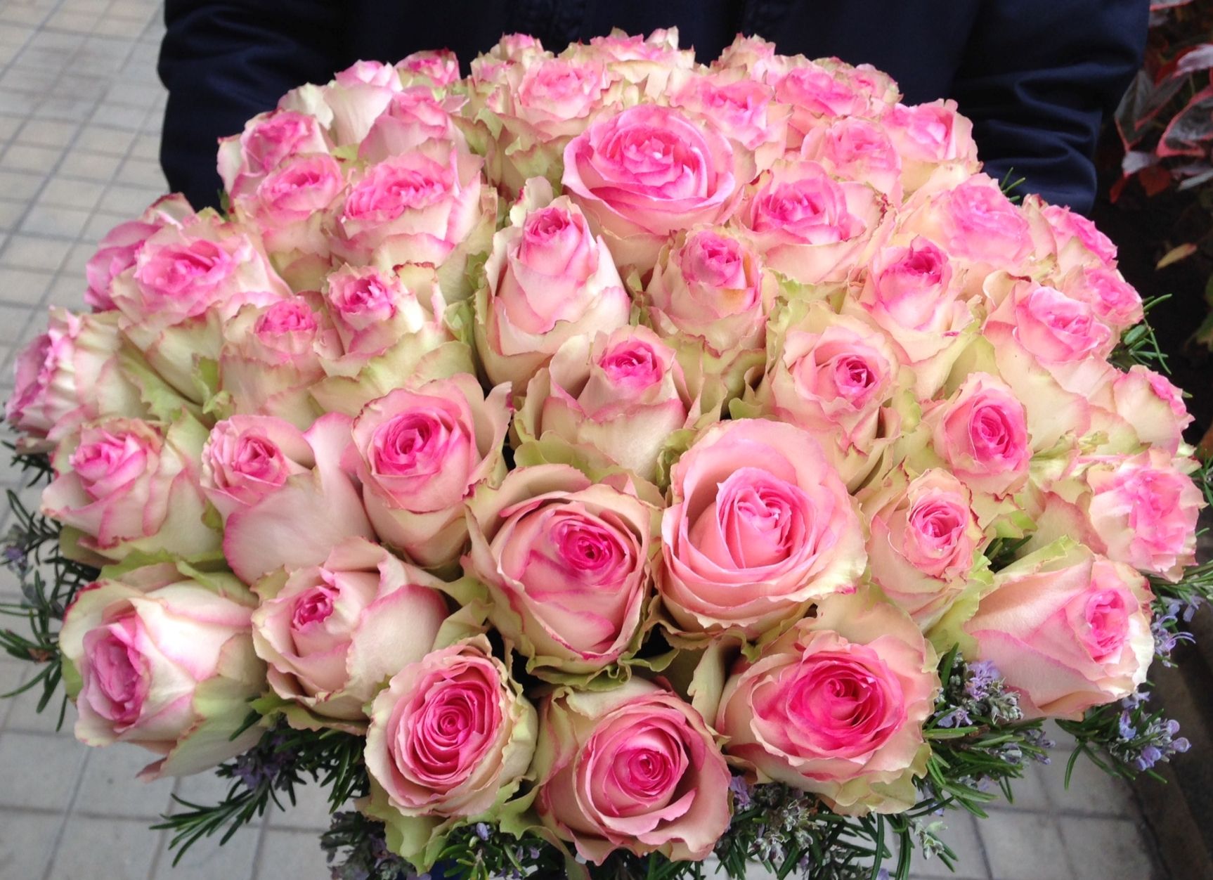 50 rosas de ecuador esperance para un cumplea 241 os feliz rosas para cumpleanos