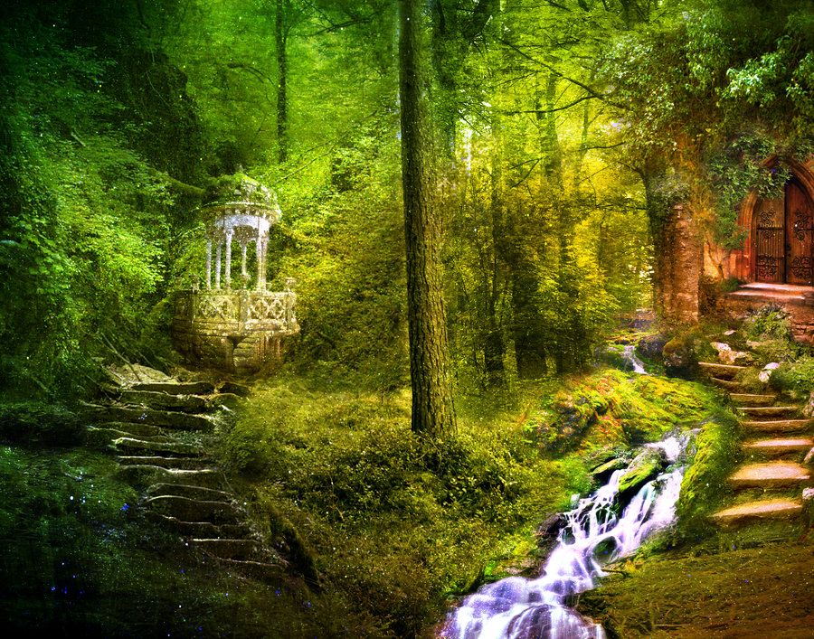 the forest background